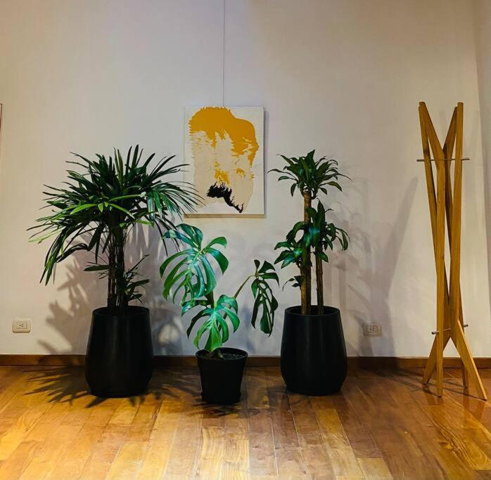 Arts Loft, A Estrenar! Buenos Aires Apartment ภายนอก รูปภาพ
